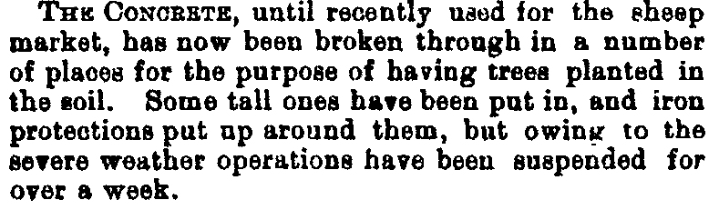 Market  1887-12-17 CHWS.JPG